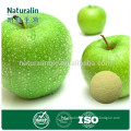 100% Natural Apple Juice Concentrate Powder